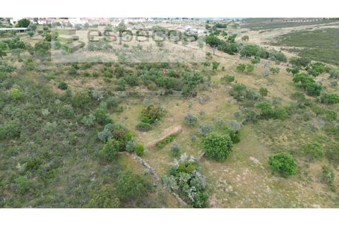 Helårsgrund i Perais, Castelo Branco, Perais - € 13.000 | Ref: 5040/(4)EM_RR - foto 8