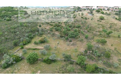 Helårsgrund i Perais, Castelo Branco, Perais - € 13.000 | Ref: 5040/(4)EM_RR - foto 9