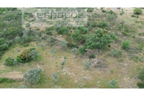 Helårsgrund i Perais, Castelo Branco, Perais - € 13.000 | Ref: 5040/(4)EM_RR - foto 10