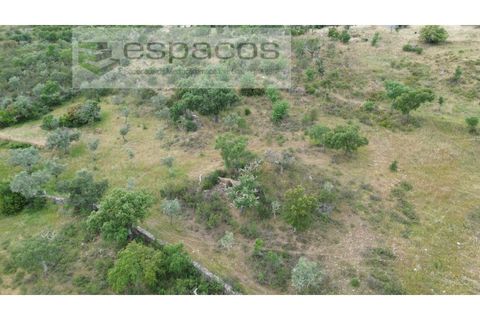 Helårsgrund i Perais, Castelo Branco, Perais - € 13.000 | Ref: 5040/(4)EM_RR - foto 11