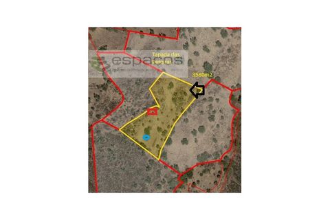 Helårsgrund i Perais, Castelo Branco, Perais - € 13.000 | Ref: 5040/(4)EM_RR - foto 12