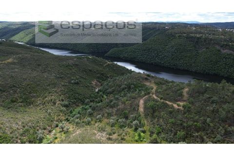 Tomt i Perais, Castelo Branco, Perais - € 19 000 | Ref: 5540/(3)EM_RR - foto 4