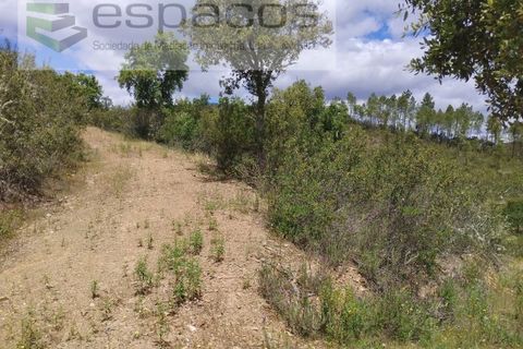 Tomt i Perais, Castelo Branco, Perais - € 19 000 | Ref: 5540/(3)EM_RR - foto 6