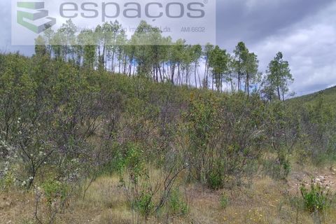 Tomt i Perais, Castelo Branco, Perais - € 19 000 | Ref: 5540/(3)EM_RR - foto 9