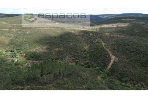 Tomt i Perais, Castelo Branco, Perais - € 19 000 | Ref: 5540/(3)EM_RR - foto 10