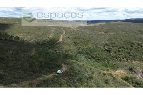 Tomt i Perais, Castelo Branco, Perais - € 19 000 | Ref: 5540/(3)EM_RR - foto 15