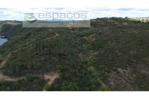 Tomt i Perais, Castelo Branco, Perais - € 19 000 | Ref: 5540/(3)EM_RR - foto 16