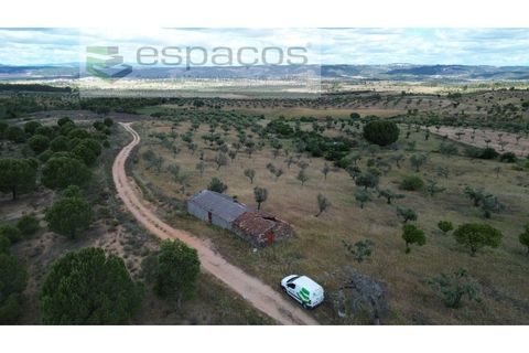 Terra a Perais, Castelo Branco, Perais - € 29.500 | Ref: 5540/(2)Em_RR - foto 3