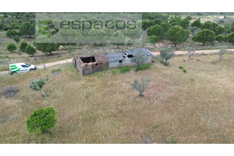 Terra a Perais, Castelo Branco, Perais - € 29.500 | Ref: 5540/(2)Em_RR - foto 4