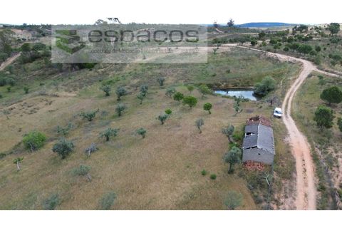 Terra a Perais, Castelo Branco, Perais - € 29.500 | Ref: 5540/(2)Em_RR - foto 7