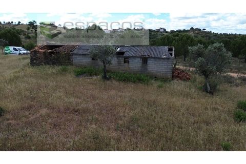 Terra a Perais, Castelo Branco, Perais - € 29.500 | Ref: 5540/(2)Em_RR - foto 8