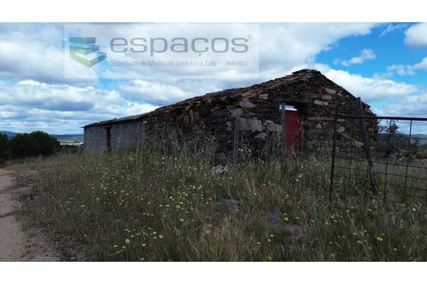 Terra a Perais, Castelo Branco, Perais - € 29.500 | Ref: 5540/(2)Em_RR - foto 11