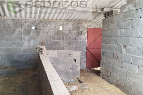 Terra a Perais, Castelo Branco, Perais - € 29.500 | Ref: 5540/(2)Em_RR - foto 13