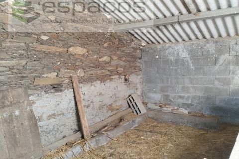 Terra a Perais, Castelo Branco, Perais - € 29.500 | Ref: 5540/(2)Em_RR - foto 14
