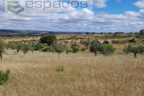Terra a Perais, Castelo Branco, Perais - € 29.500 | Ref: 5540/(2)Em_RR - foto 15