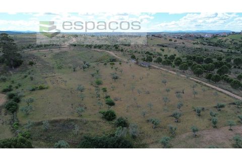 Terra a Perais, Castelo Branco, Perais - € 29.500 | Ref: 5540/(2)Em_RR - foto 19