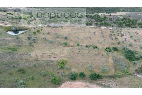Terra a Perais, Castelo Branco, Perais - € 29.500 | Ref: 5540/(2)Em_RR - foto 24