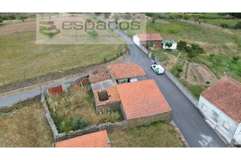Tomt i Perais, Castelo Branco, Perais - € 19 000 | Ref: 5540/(1)EM_RR - foto 2