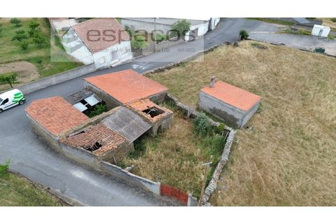 Tomt i Perais, Castelo Branco, Perais - € 19 000 | Ref: 5540/(1)EM_RR - foto 3