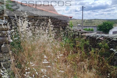 Tomt i Perais, Castelo Branco, Perais - € 19 000 | Ref: 5540/(1)EM_RR - foto 5