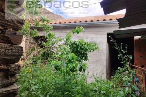 Tomt i Perais, Castelo Branco, Perais - € 19 000 | Ref: 5540/(1)EM_RR - foto 7