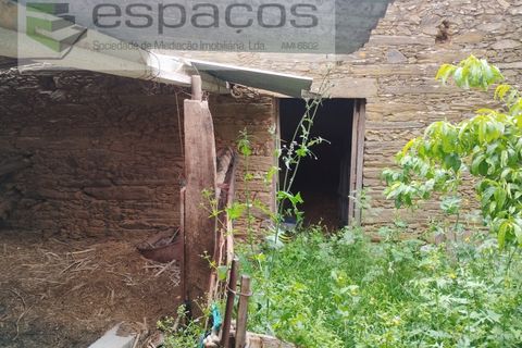 Tomt i Perais, Castelo Branco, Perais - € 19 000 | Ref: 5540/(1)EM_RR - foto 8