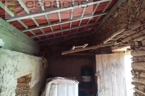 Tomt i Perais, Castelo Branco, Perais - € 19 000 | Ref: 5540/(1)EM_RR - foto 11