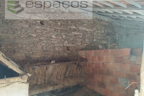 Tomt i Perais, Castelo Branco, Perais - € 19 000 | Ref: 5540/(1)EM_RR - foto 17
