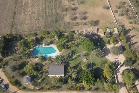 Finca i Inca, Mallorca, Inca - € 2.600.000 | Ref: 428-05455P - foto 10