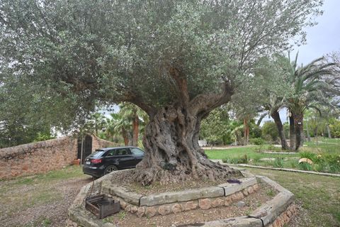 Finca i Inca, Mallorca, Inca - € 2.600.000 | Ref: 428-05455P - foto 31