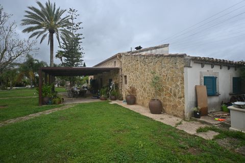 Finca i Inca, Mallorca, Inca - € 2.600.000 | Ref: 428-05455P - foto 33