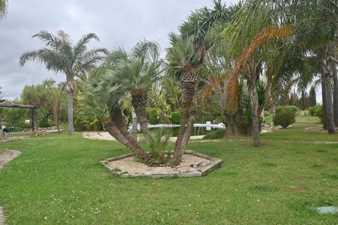 Finca i Inca, Mallorca, Inca - € 2.600.000 | Ref: 428-05455P - foto 34