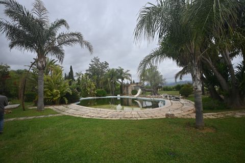 Finca i Inca, Mallorca, Inca - € 2.600.000 | Ref: 428-05455P - foto 35