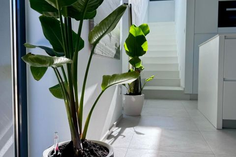 Villa i Calpe, Alicante, Calpe - € 990.000 | Ref: CSPX-80447 - foto 19