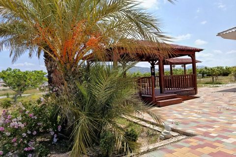 Villa i Pinoso, Alicante, Pinoso - € 595.000 | Ref: CSPX-92545 - foto 13