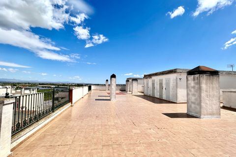 Lejlighed i Almoradi, Alicante, Almoradi - € 149.000 | Ref: CSPX-64390 - foto 30