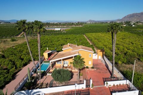 Villa i Orihuela, Alicante, Orihuela - € 675.000 | Ref: CSPX-63670 - foto 37