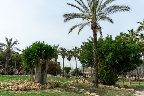 Villa i Los Altos, Alicante, Los Altos - € 290.000 | Ref: CSPX-74442 - foto 47