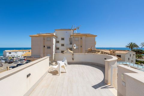 Villa i Playa Flamenca, Alicante, Playa Flamenca - € 940.000 | Ref: CSPX-98491 - foto 33