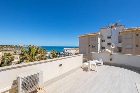 Villa i Playa Flamenca, Alicante, Playa Flamenca - € 940.000 | Ref: CSPX-98491 - foto 34