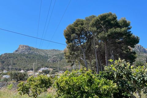 Villa a Novelda, Alicante, Novelda - € 340.000 | Ref: CSPX-45708 - foto 6