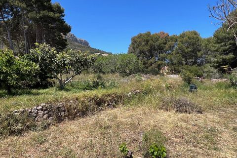Villa a Novelda, Alicante, Novelda - € 340.000 | Ref: CSPX-45708 - foto 7
