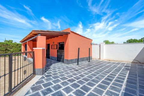 Landejendom i Almoradi, Alicante, Almoradi - € 595.000 | Ref: CSPX-66301 - foto 11