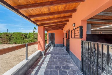 Landejendom i Almoradi, Alicante, Almoradi - € 595.000 | Ref: CSPX-66301 - foto 26