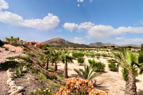 Villa i Albatera, Alicante, Albatera - € 540.000 | Ref: CSPX-61370 - foto 44