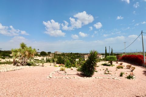 Villa i Albatera, Alicante, Albatera - € 540.000 | Ref: CSPX-61370 - foto 48