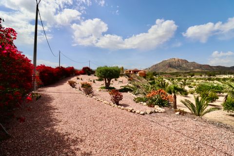Villa i Albatera, Alicante, Albatera - € 540.000 | Ref: CSPX-61370 - foto 50
