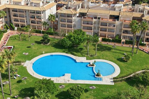 Lejlighed i Playa Flamenca, Alicante, Playa Flamenca - € 249.000 | Ref: CSPX-88265 - foto 20