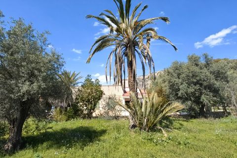 Masia a Elda, Alicante, Elda - € 172.000 | Ref: CSPX-15352 - foto 18