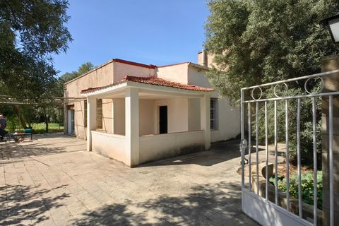 Masia a Elda, Alicante, Elda - € 172.000 | Ref: CSPX-15352 - foto 19